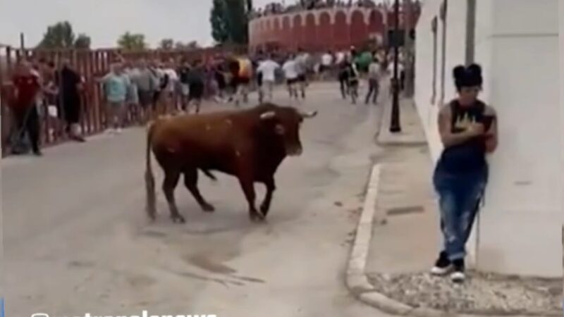Vídeo: Mulher ‘distraída’ no celular é atacada por touro na Espanha