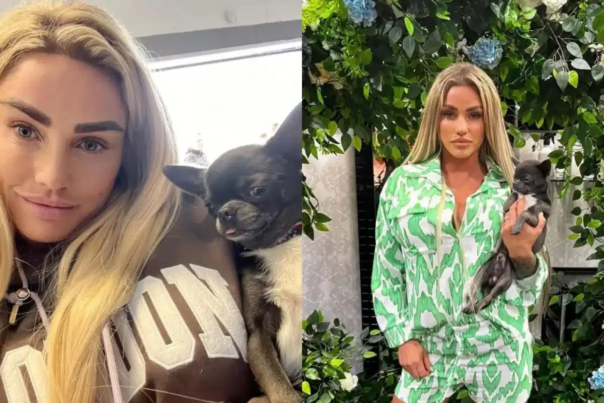 Modelo decide doar cachorro por não achá-lo mais “instagramável”